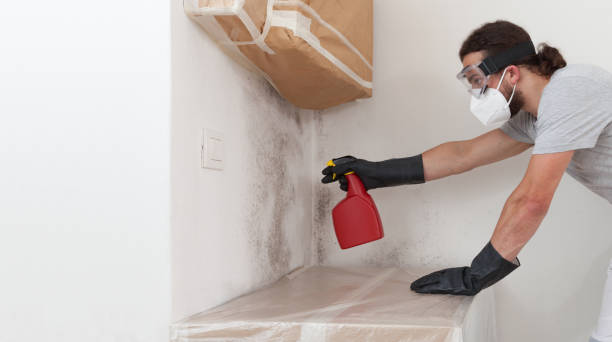 Professional Bathroom Mold Removal technician working in Edgewood, TX